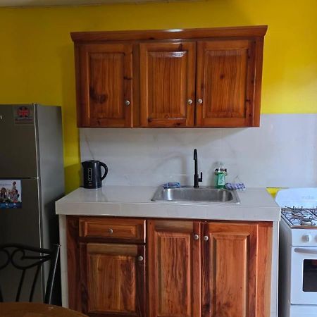 Wizzy Apartment White River Ocho Rios Eksteriør billede