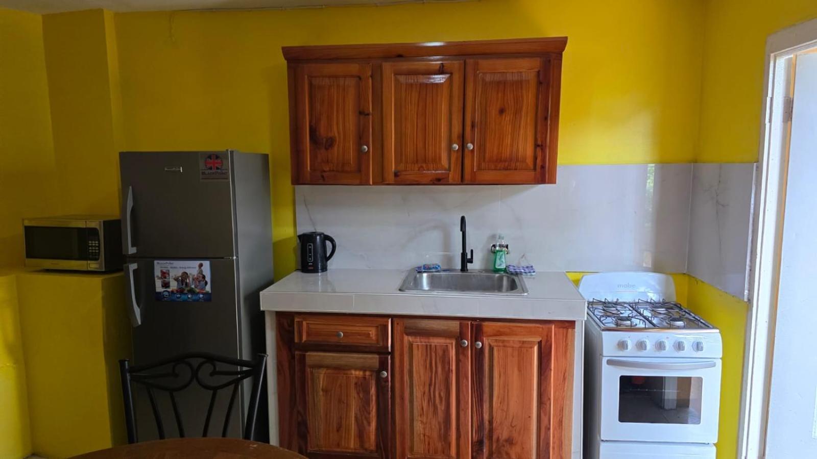 Wizzy Apartment White River Ocho Rios Eksteriør billede